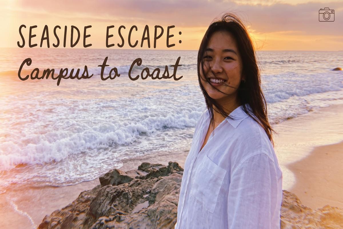 涩里番传媒旅行视频